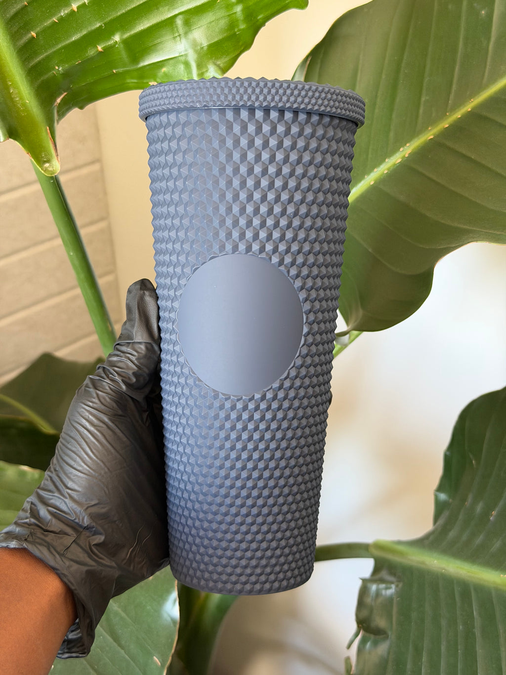 Glossy Cups L
