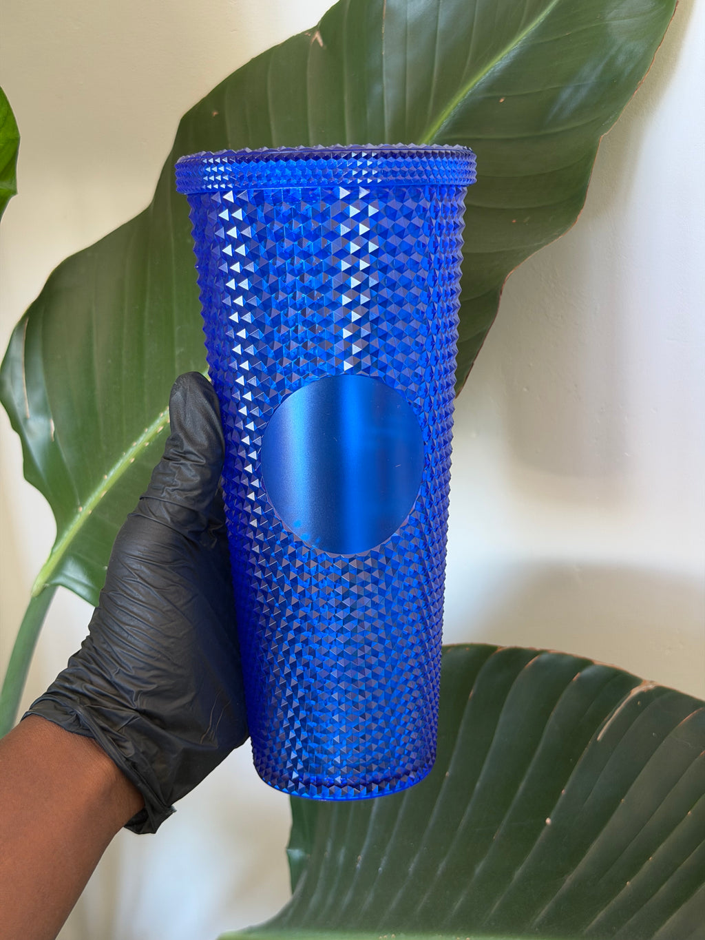 Glossy Cups L