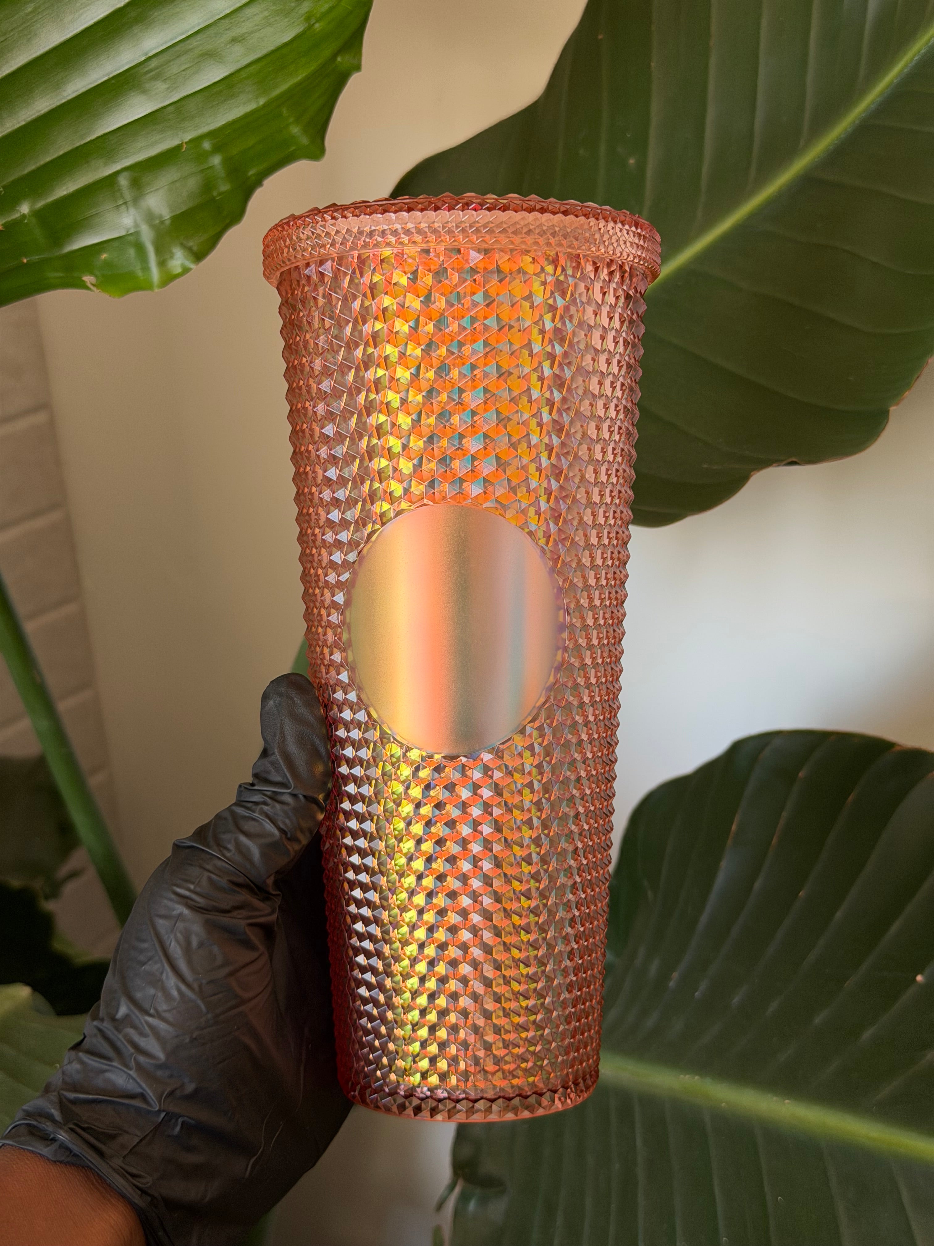 Glossy Cups L