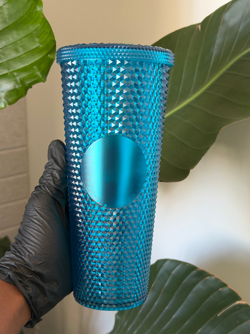 Glossy Cups L