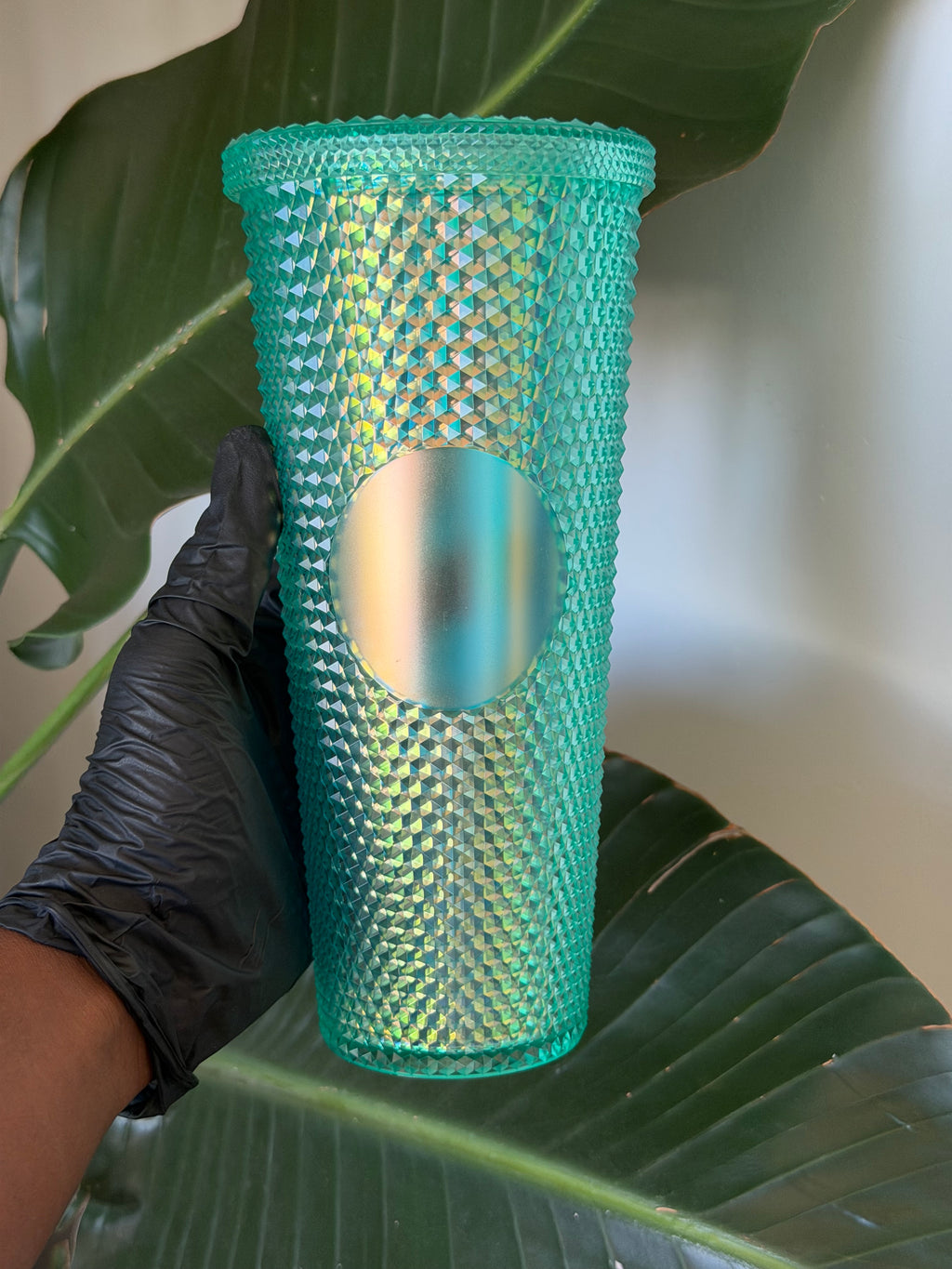 Glossy Cups L