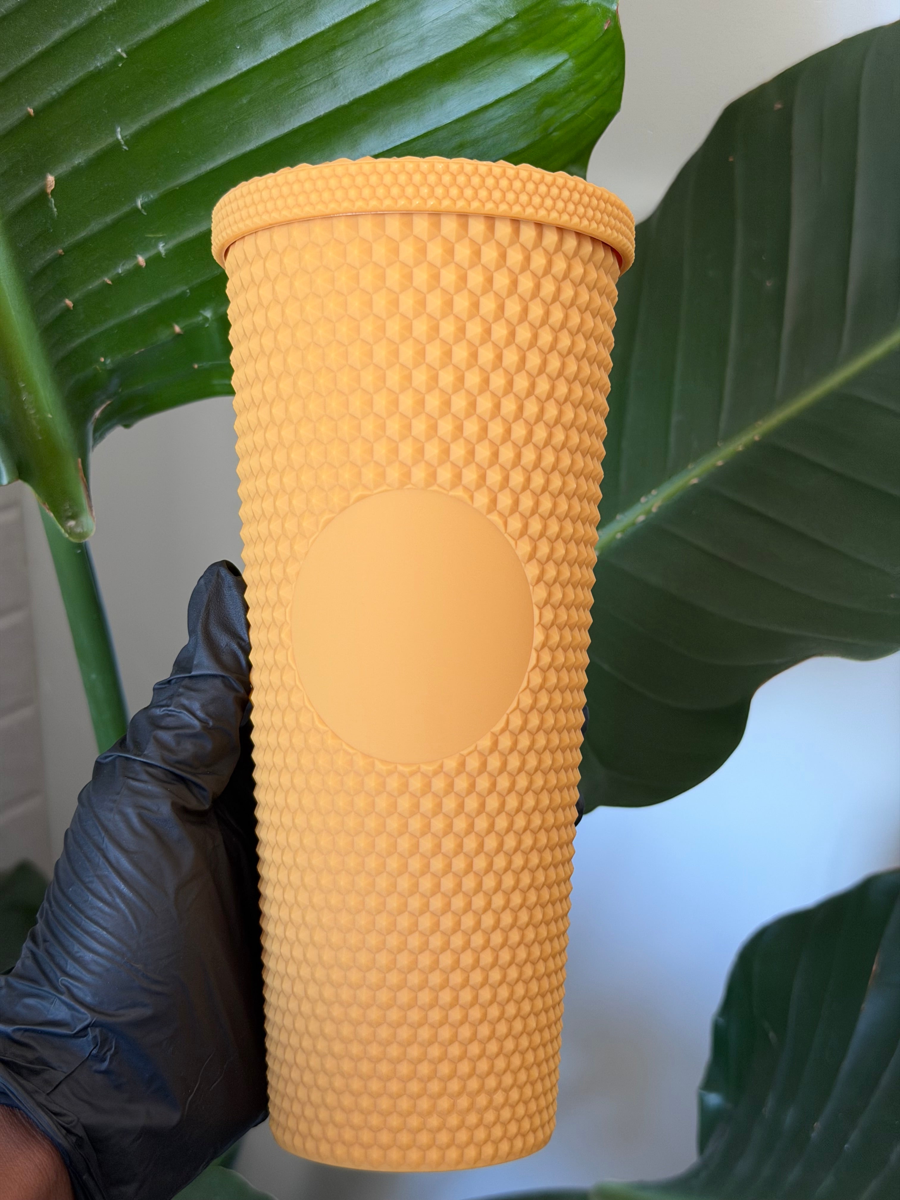 Glossy Cups L