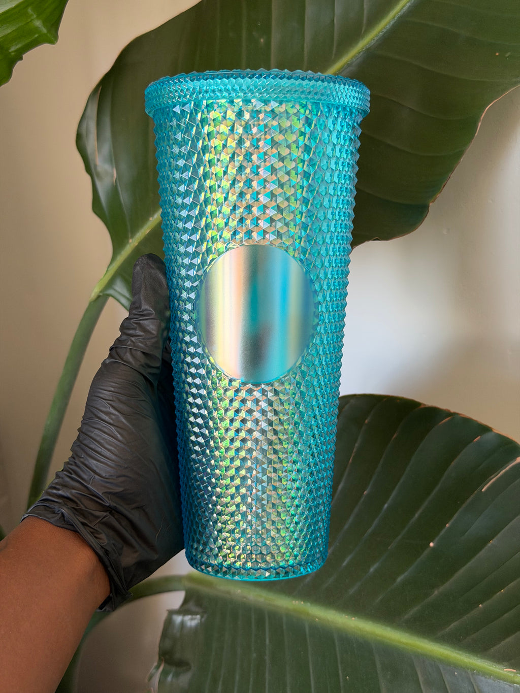 Glossy Cups L