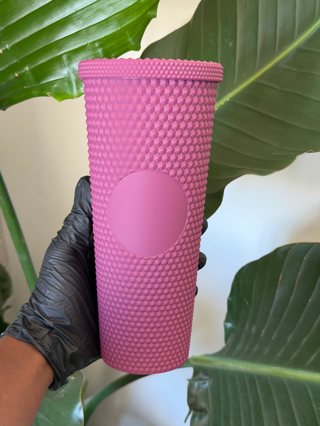 Glossy Cups L