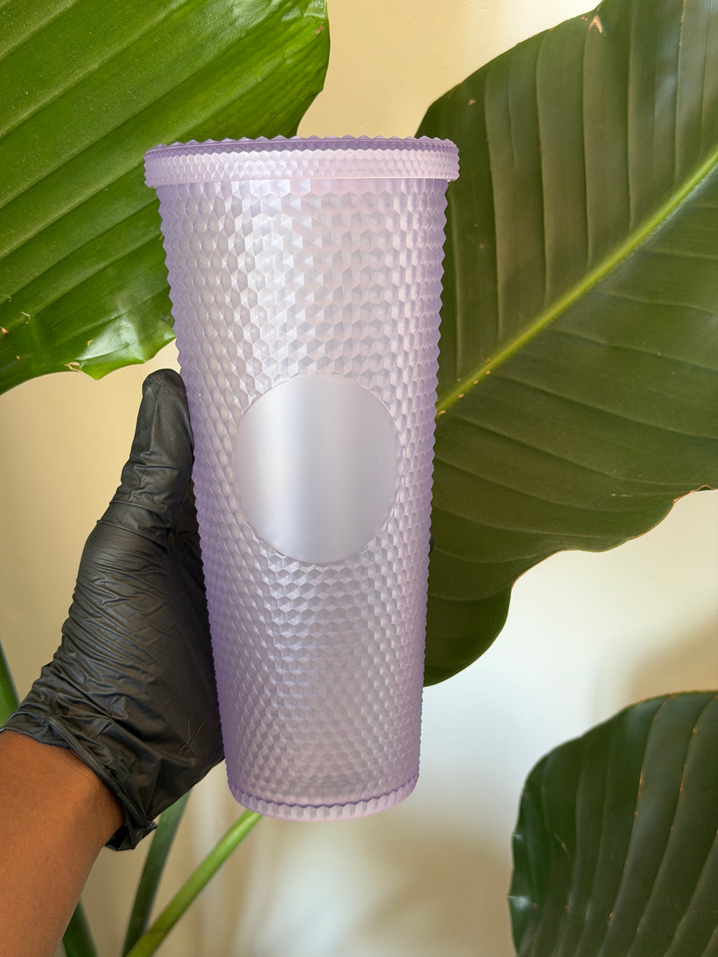 Glossy Cups L