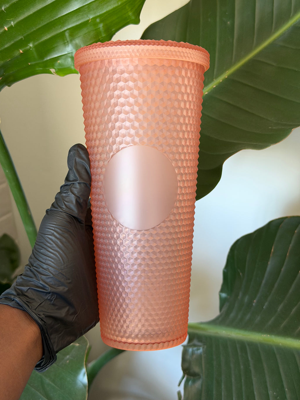 Glossy Cups L