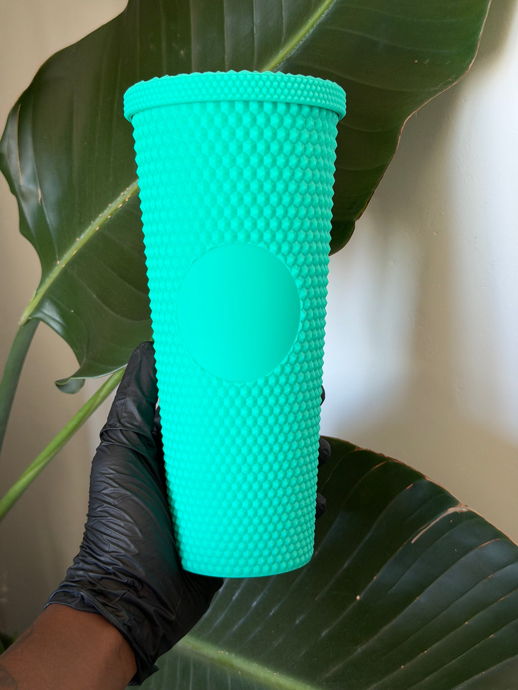 Glossy Cups L