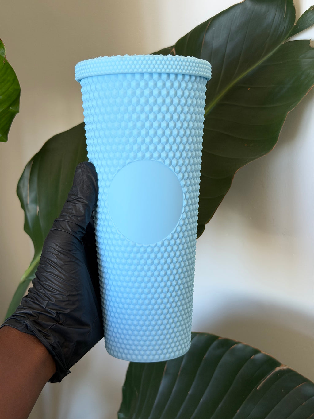 Glossy Cups L