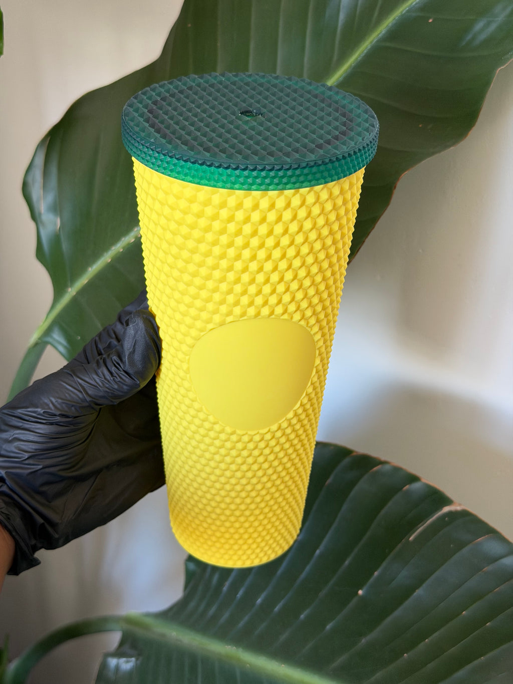 Glossy Cups L