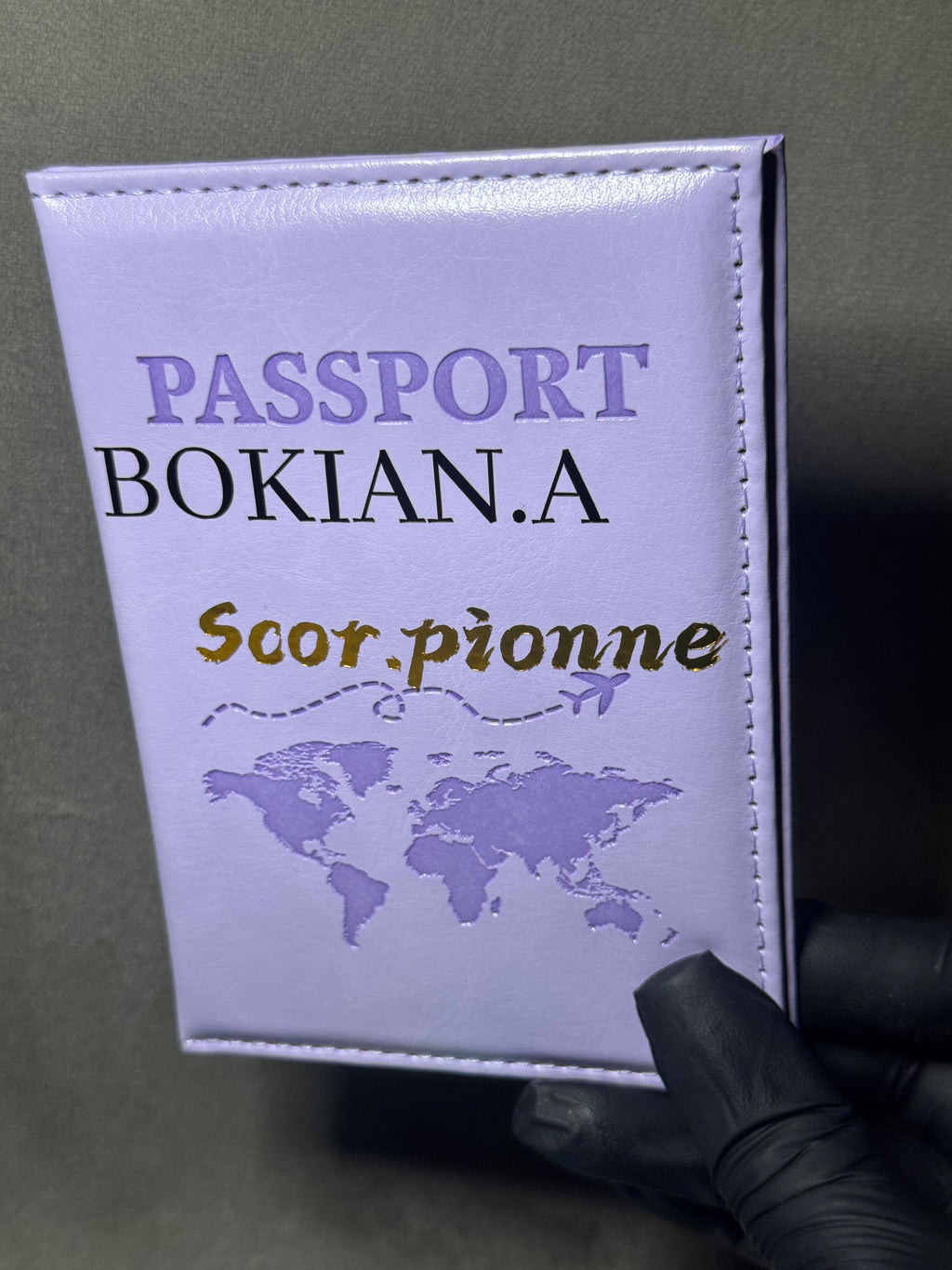 Pochette de passeport